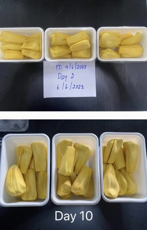 Frozen Golden Thai Jackfruit