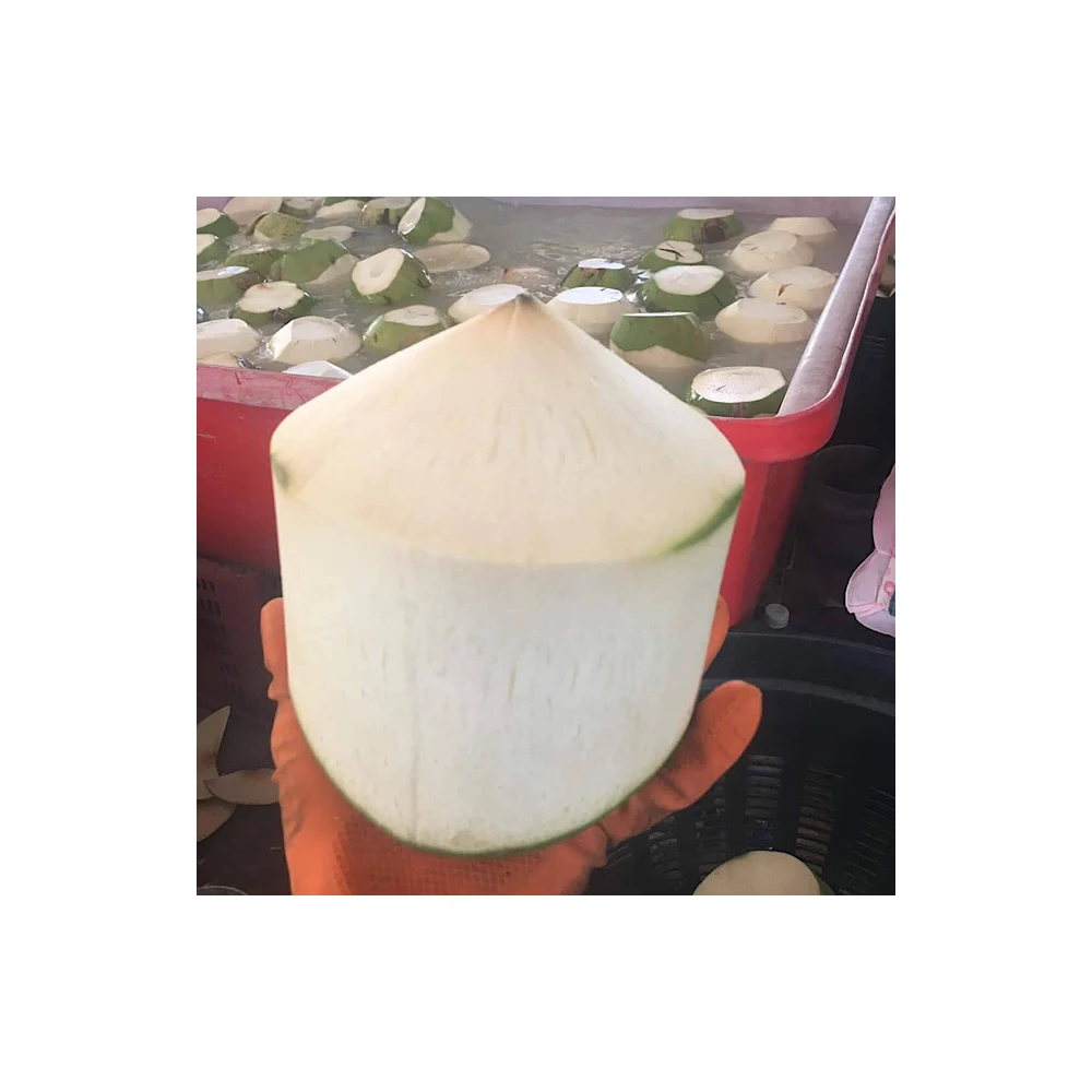 Top Selling  Fresh Coconuts From Thailand