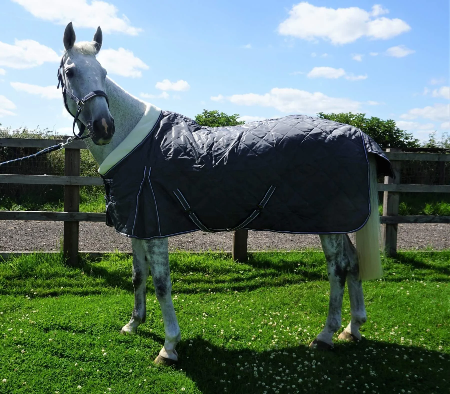 Soft Quality Nylon Lining Equipment Equine Breathable Stable Horse Turnout Blankets Rugs for Winter Most Comfortable for Horses