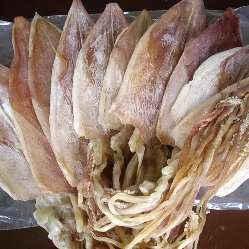 Dry CuttleFish Bulk in Cheap Price