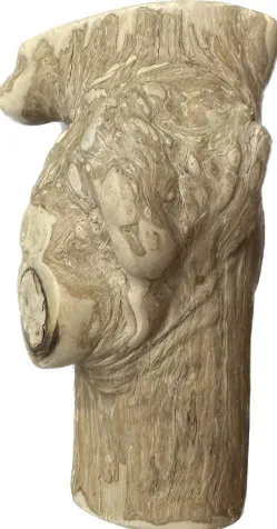 Hot Promotion Java Dog Chew Big Sale Save Big 2024