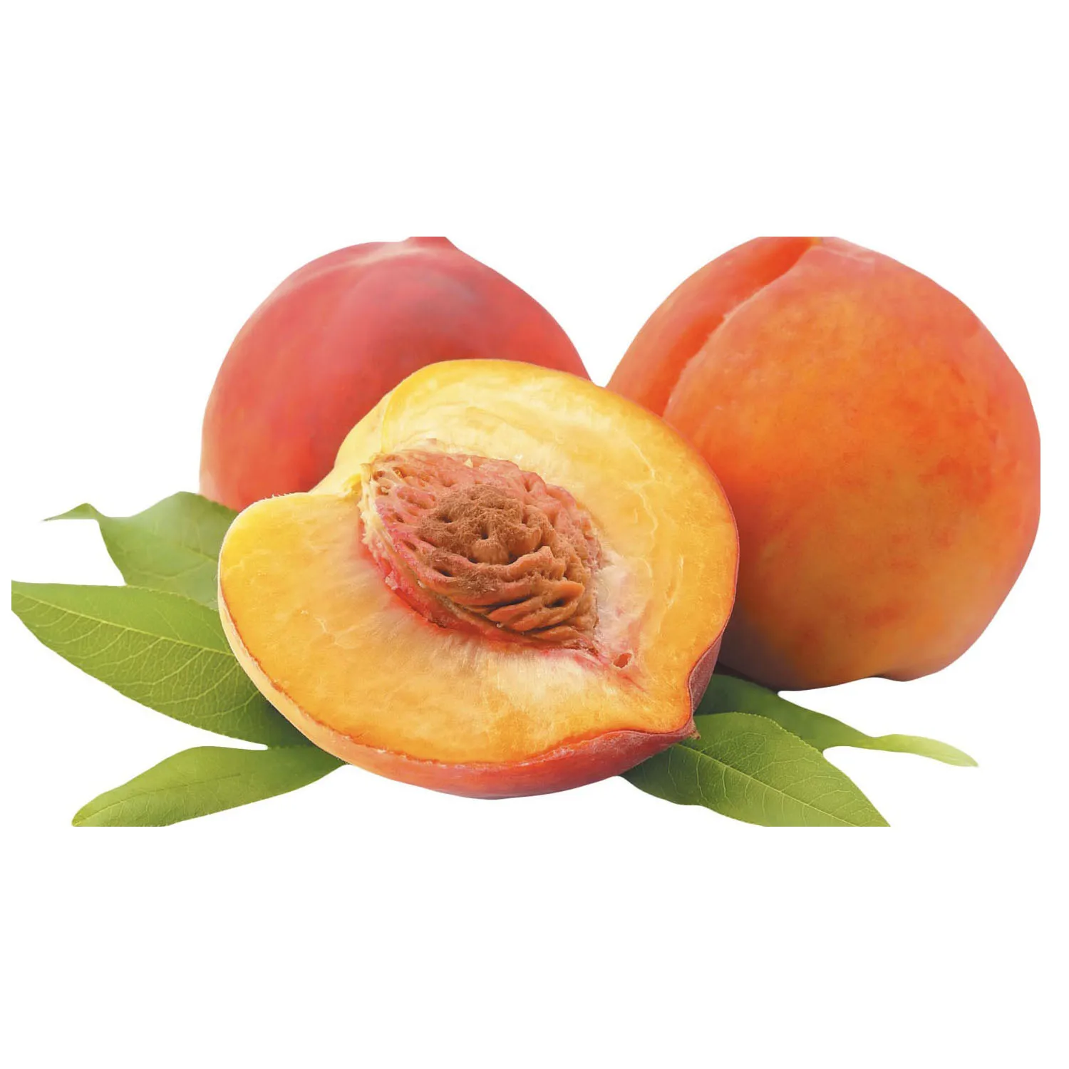 Canned Material Good Quality Fresh Product IQF Frozen Fruit Yellow Peach CHEAP PRICE Canned Yellow Peach in Halves IN BULK