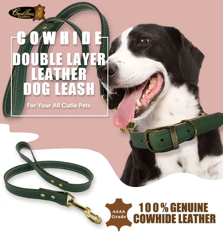 Dog Leash T26 N3L01