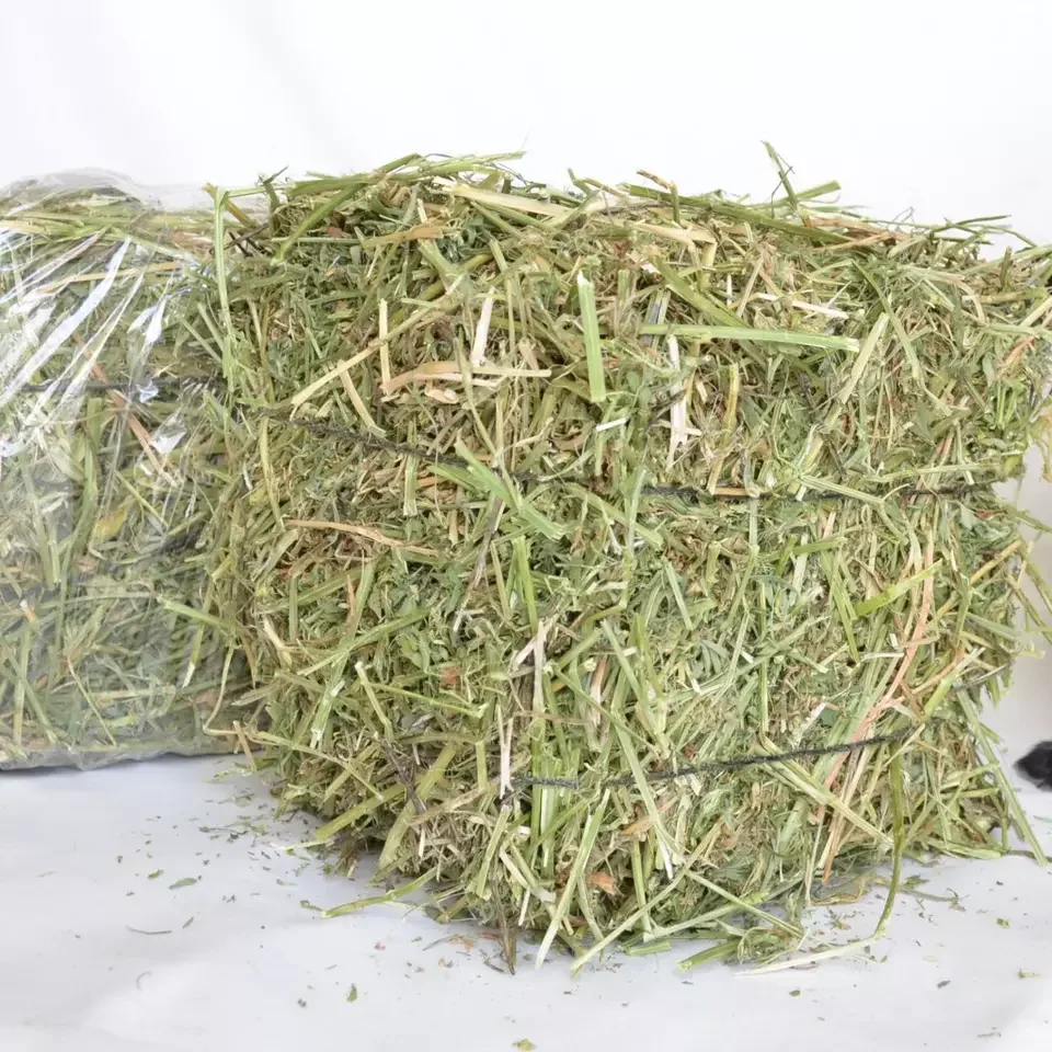 Bales (Alfalfa Hay), Timothy Hay Bales , Oats Hay Bulk Top Grade Alfalfa for Animal Feed / Alfalfa Hay