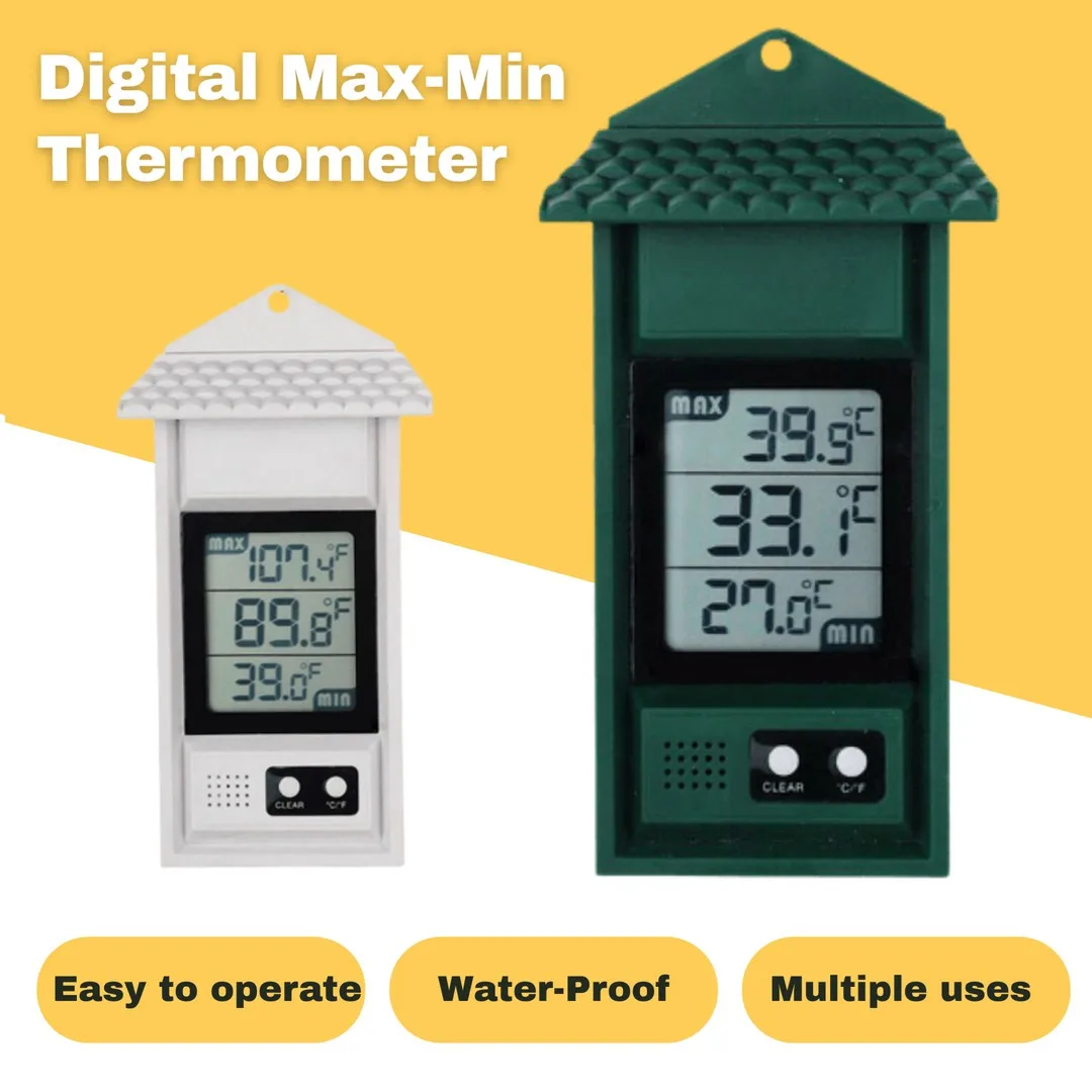 001_vivipic (24).jpg