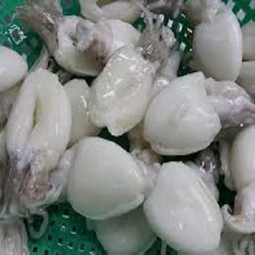 Frozen Cuttlefish IQF Style Natural Frozen Food Frozen Squid & Cuttlefish Ball