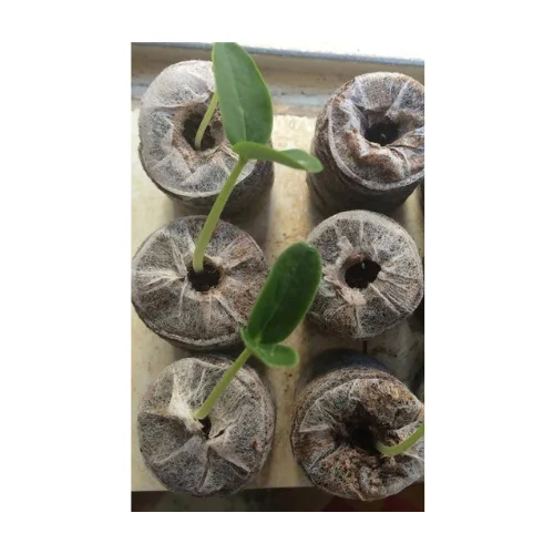Competitive Price With Viet Nam Coco Peat Planting Soil For Seeding Coir Peat Pellet With High Quality