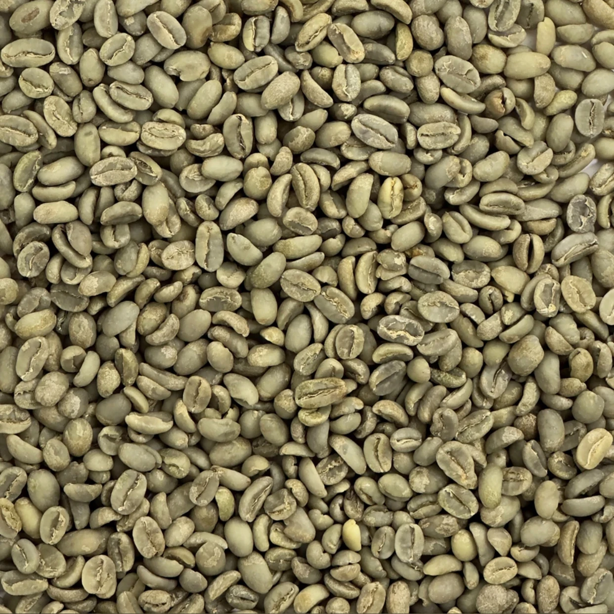 100% натуральный Арабика Robusta зеленый кофе в зернах онлайн Органический Сырой и жареный вьетнамский сладкий вкус бразильский производитель