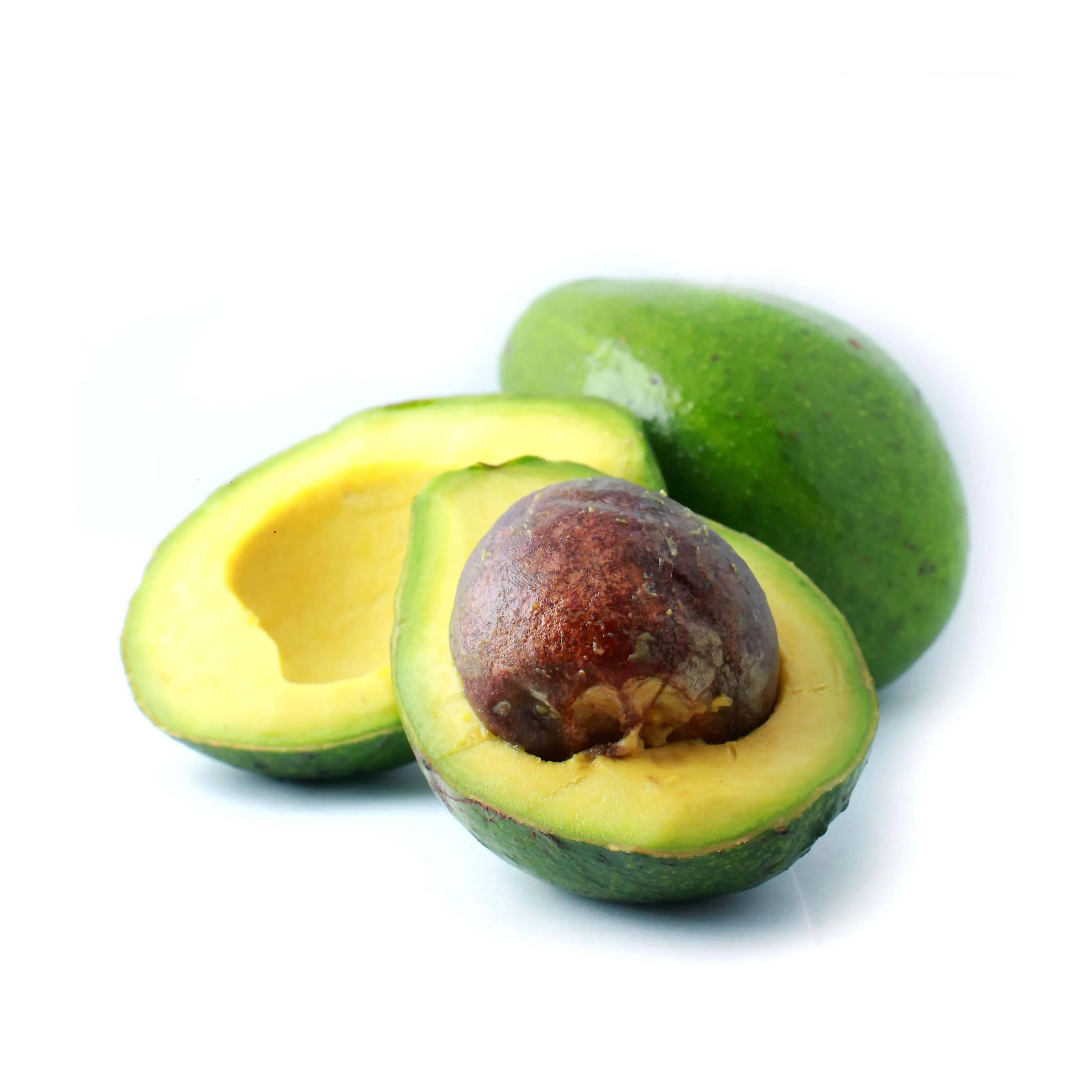 Fresh Avocado For Worldwide Export - Fresh Avocado at Best Price for Wholesaler