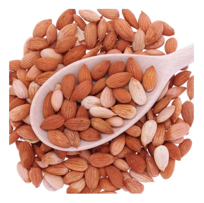 Wholesale Dried Apricot Kernels Diced Sliced Pieces Apricot Hot Sale Healthy Food Bitter/ Sweet Apricot Kernel