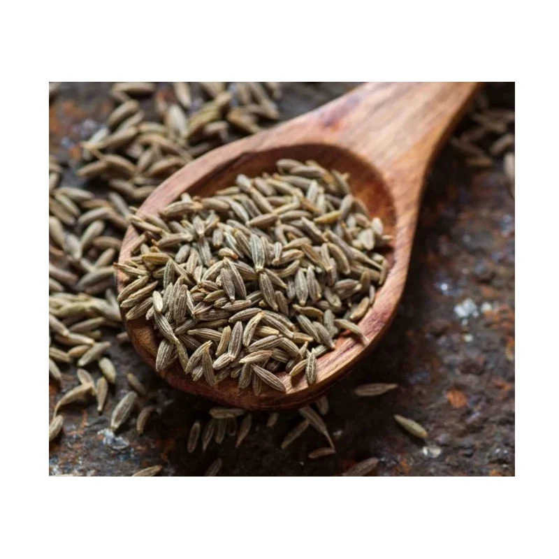 New Season Dried Cumin Seeds Jeera Natural Cumin Single Spices & Herbs from Indian Manufacturer