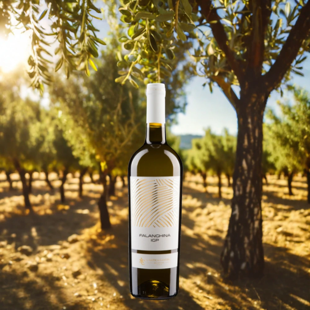 Лидер продаж свежее белое вино IGP Nobiles Falanghina из Италии сладкое и сухое цветочное фруктовое примечание коробка для бутылок упаковка стола