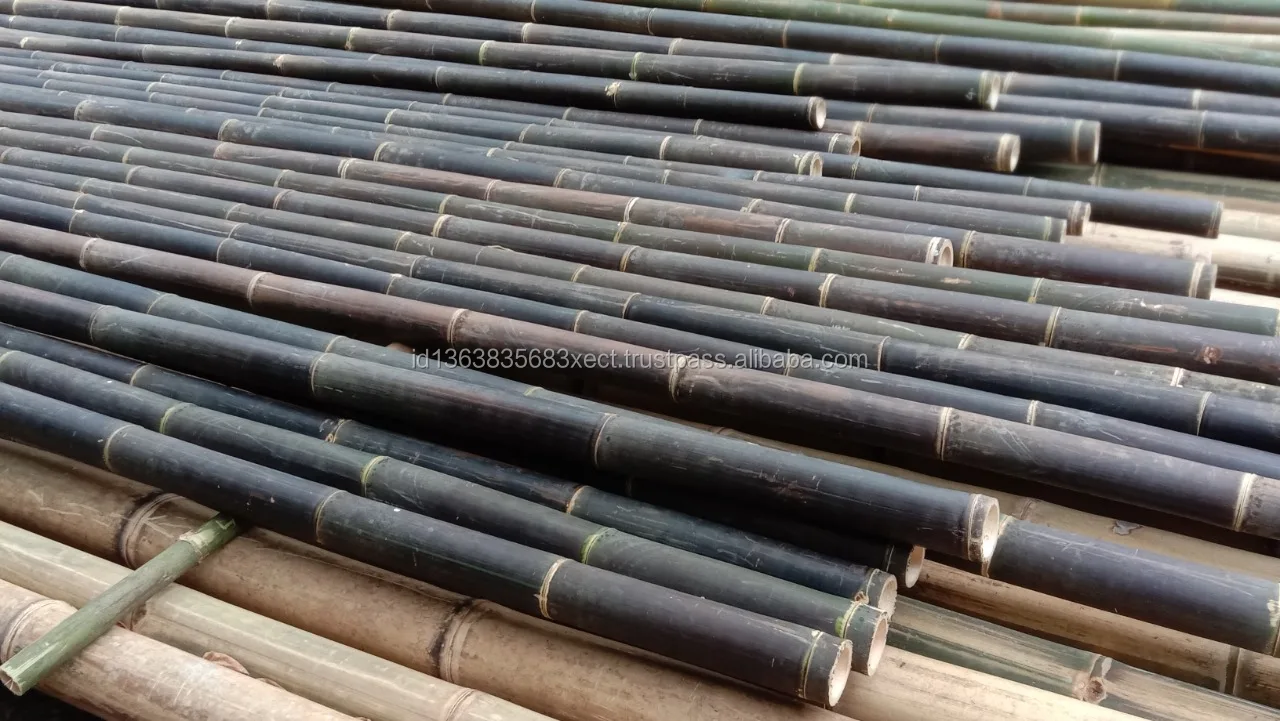 600 Cm High Quality Indonesia Bamboo Tropical Black Bamboo Treated For Construction