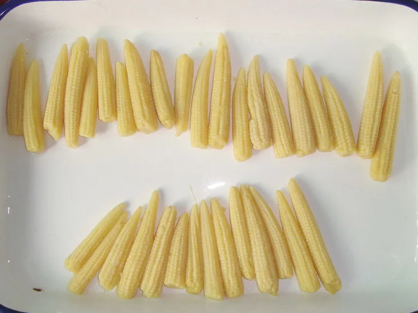 Cheap price canned whole baby corn/ young corn in brine for wholesale OEM with crunchy taste