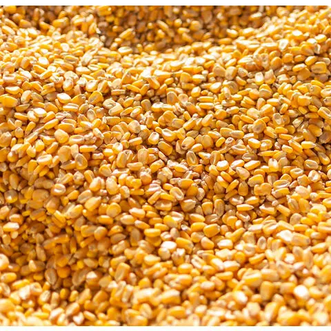 Wholesale Price Yellow Corn High Quality Yellow Maize Corn for Animal Feed