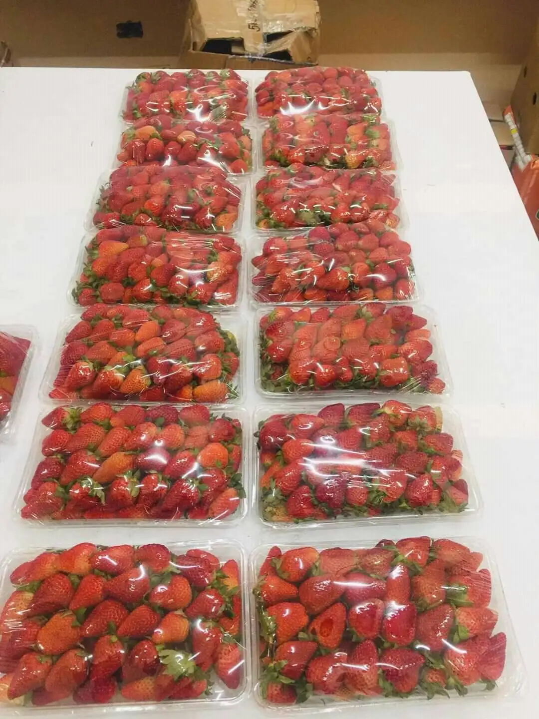 strawberries 1.jpg