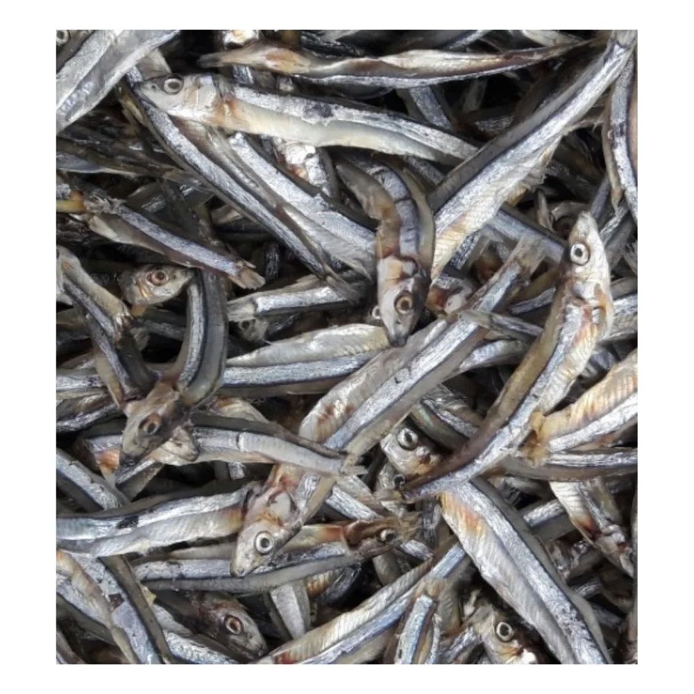 99 GD Provide High Quality Wholesale/Headless Dried Anchovy/ Sun Dried Natural Fresh Anchovy For Sale From Vietnam