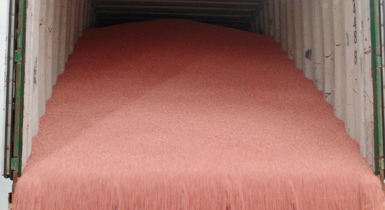 wholesale Potassium Chloride Fertilizer/KCL/MOP