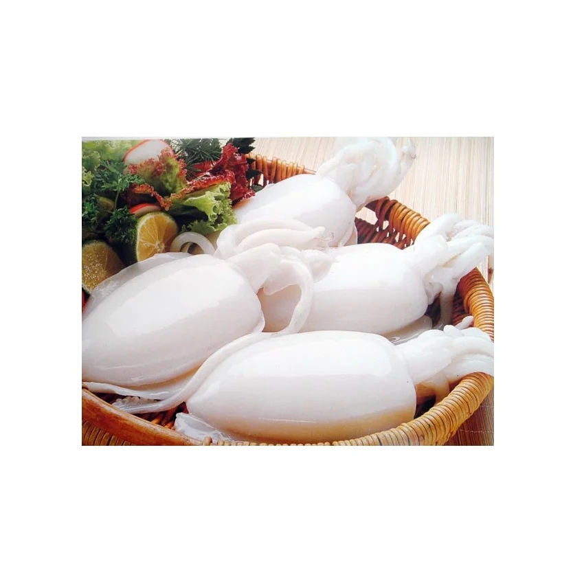 Прямой поставщик замороженных каракатиц целиком очищенных каракатиц по оптовой цене