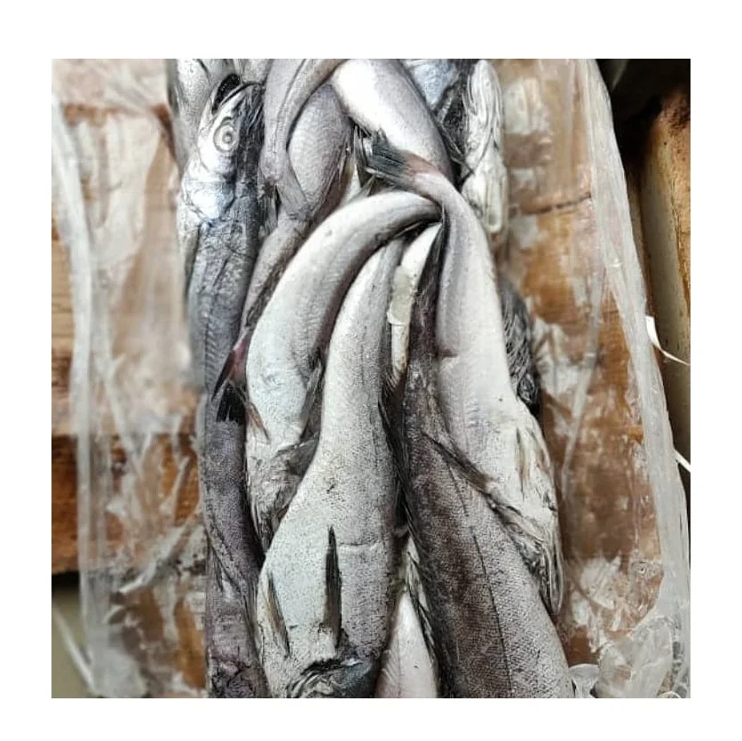 High Quality Frozen Seafood Hake Fish HGT / Whole Fish At Cheap Price Manufacturer From Germany worldwide Exports