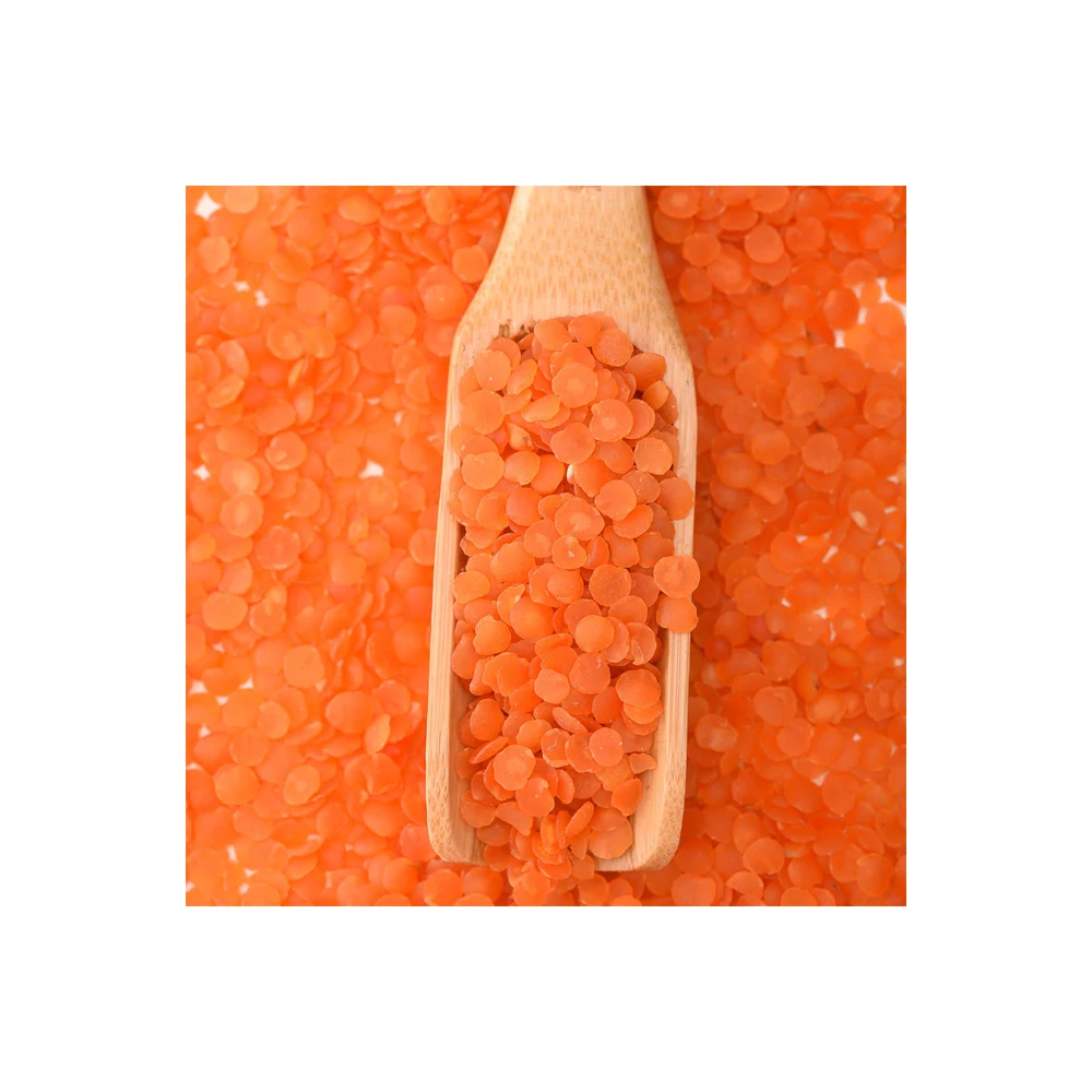 Lentils Beans Suppliers for Sale