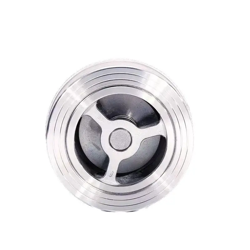 Wenzhou BSTV: Wafer/lug/swing/grooved End Stainless Steel Normal Temperature Wafer Swing Check Valve General 3 Years Manual
