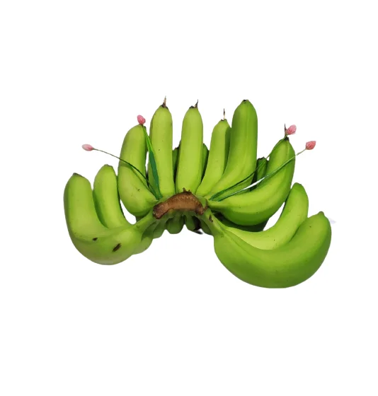 Maturity 8 weeks Organic Selling Top Grade B789 Cavendish Banana Cheap Price Low MOQ Hot Sale Bulk Wholesale New Crop Arrival