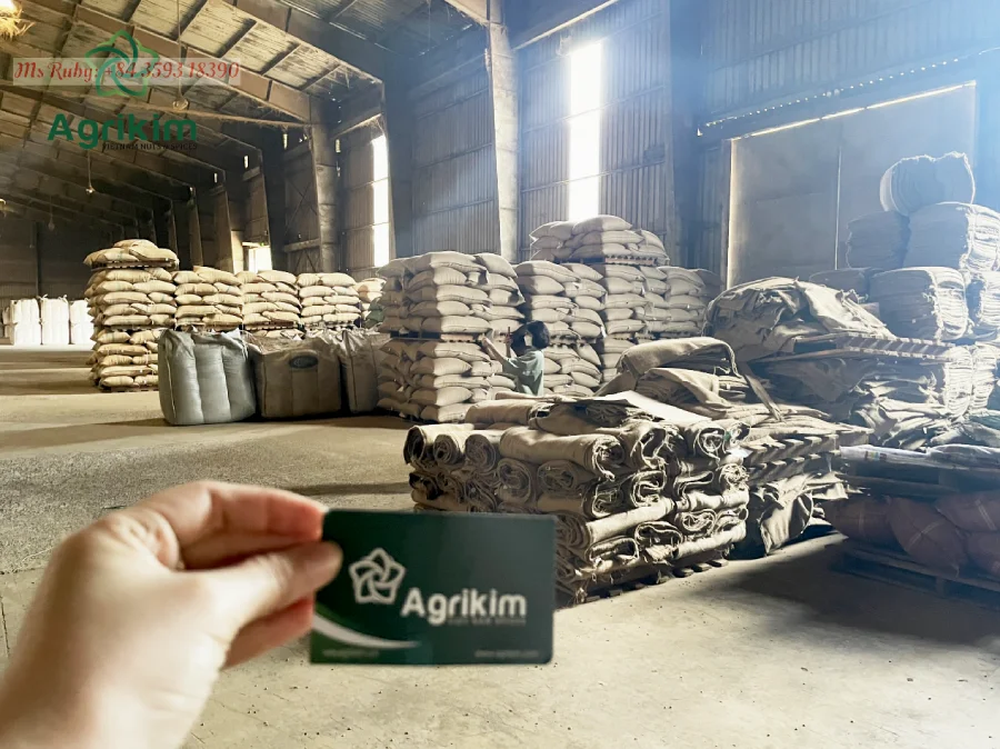 GREEN COFFEE BEANS WHOLESALE PRICE BEST QUALITY VIETNAM ORIGIN COFFEE