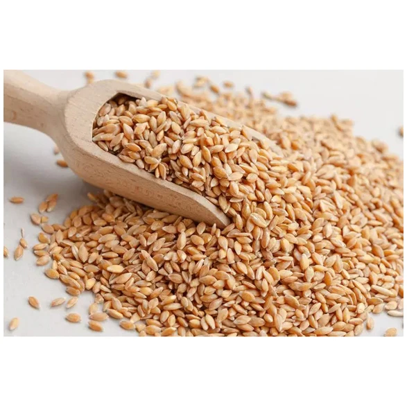 High Quality Wheat For Milling And Human And Animal Wholesale Supplier Organic Whole Wheat Grain For Sale In Reasonable Price