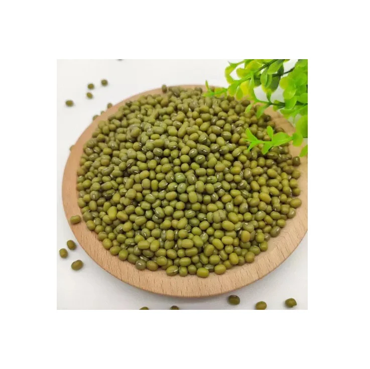 Hot Selling Organic Mung Vigna Beans Fresh Style Green Dried Bulk Packaging High Quality Organic Cultivation