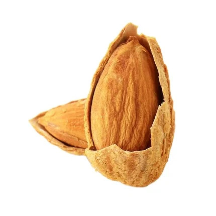 Supply High-Quality Shelled Natural Delicious Almonds Customize Packing almond nuts At Wholesale Prices Nut Food