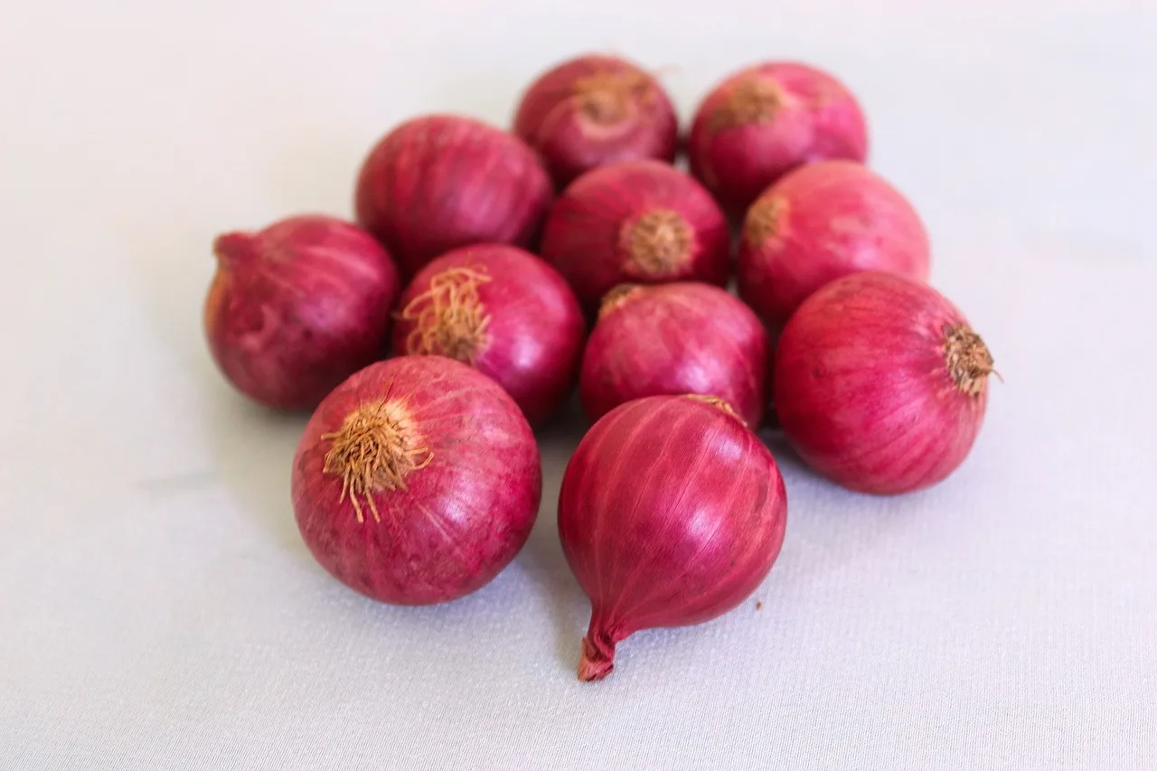 Vegetables used for cooking fresh red onion which you can get from us we wholesale all over the world sale