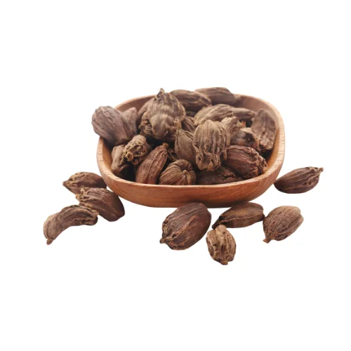 100% High Quality Herbs and Spices Food Ingredient Vietnamese Cardamom Ready To Ship