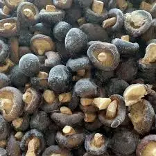 100% organic Frozen Whole shiitake mushroom Mushroom Stem from Vietnam Good package and good price