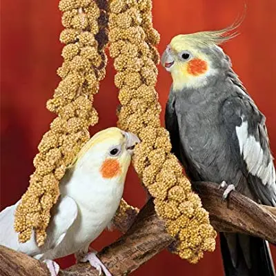 BIRD FOOD YELLOW MILLET SPRAY  Newest Harvest Dried Millet Spray for Bird feeding 2022 Crop Pet Nutrition Products China Origin
