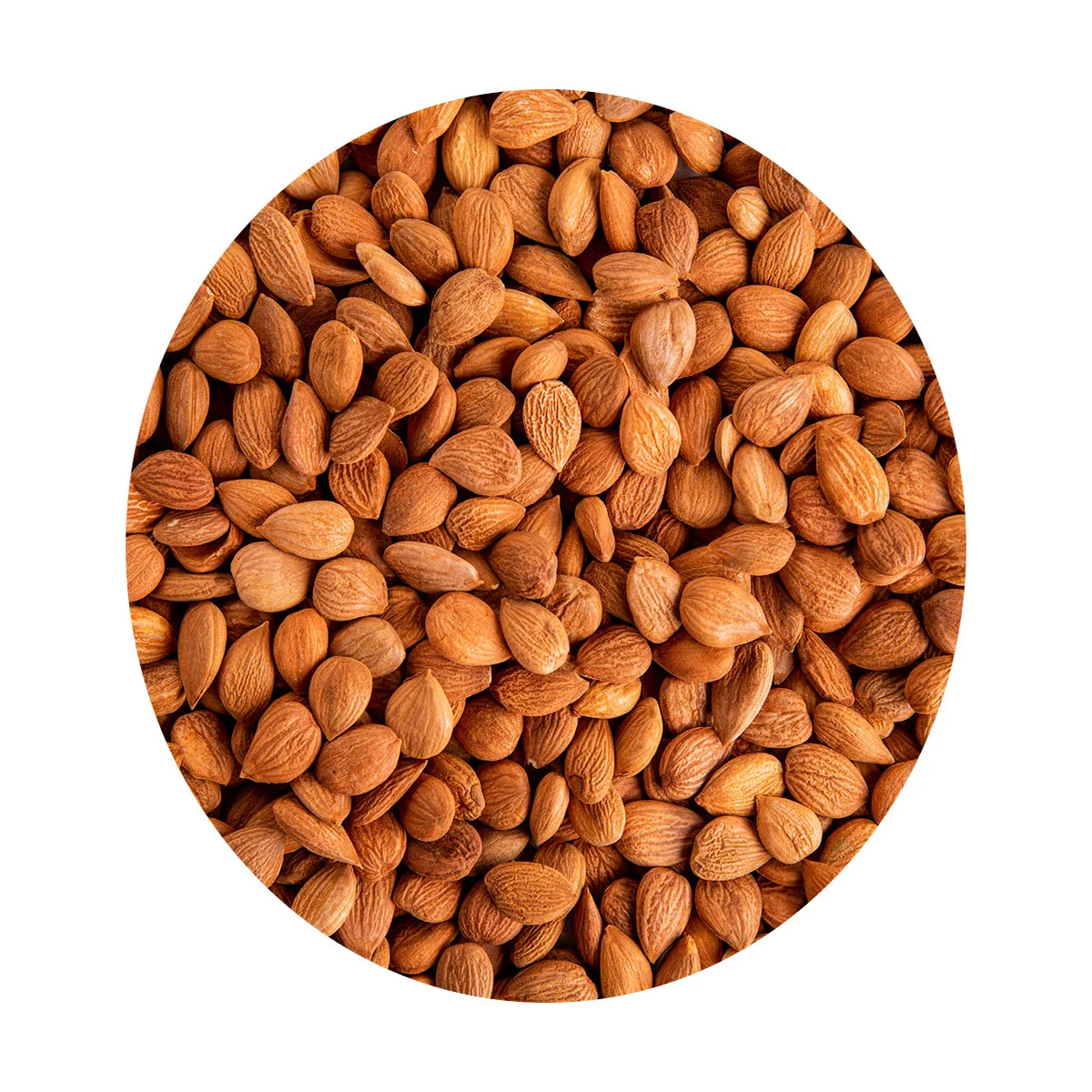 Wholesale shelled apricot kernels are environmentally friendly with beneficial substances and easily absorbed by the body