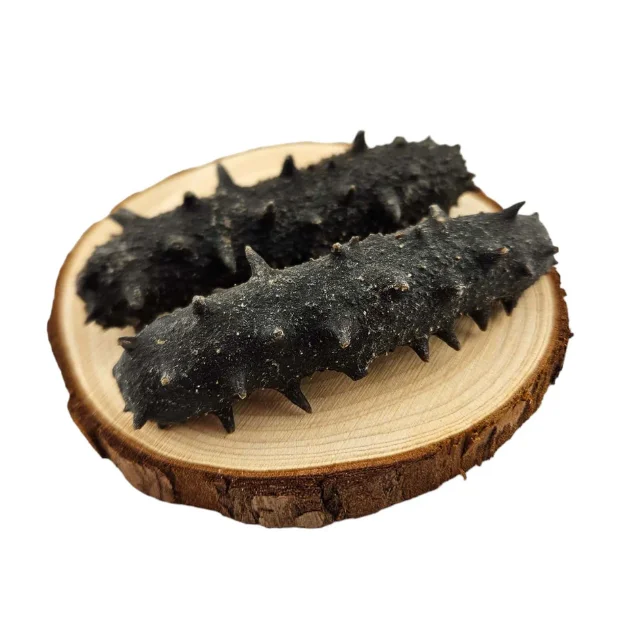 In Stock Dried Sea Cucumber Seafood Bulk Ready for Export Buy Now Wholesale Supplier Cheap Price
