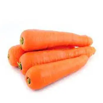 Hot sale ! Wholesales Fresh Vegetables Carrot