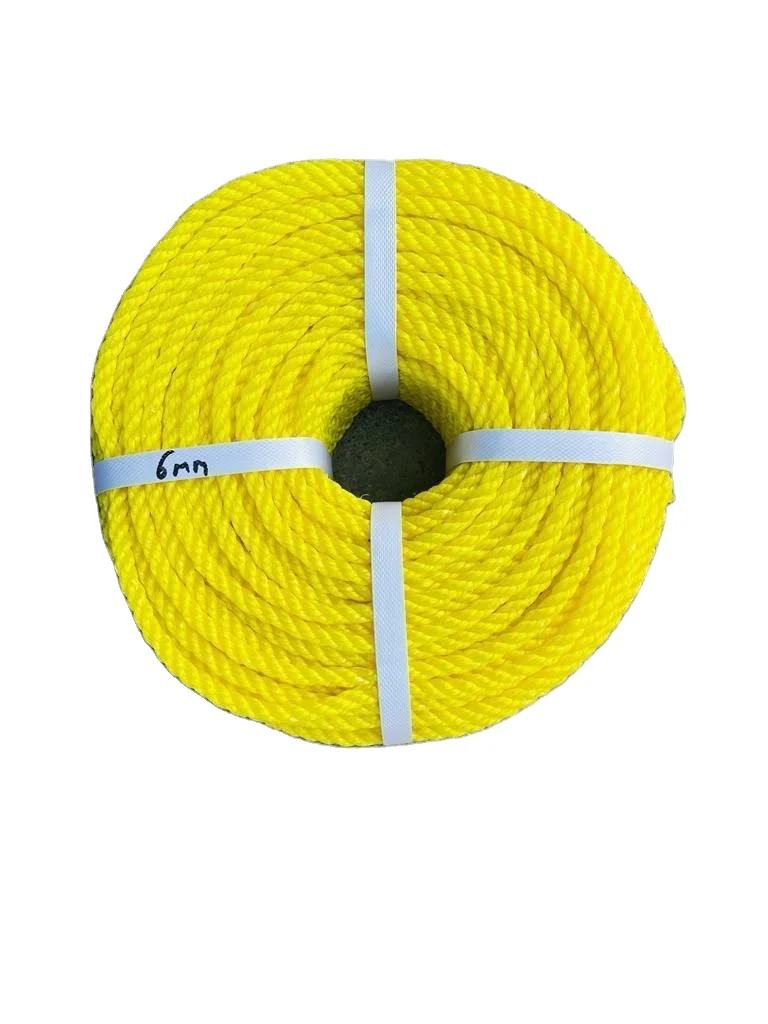 Multi Colored Polyester Cord polypropylene rope 2mm 3mm 4mm Macrame Braided Cords Flat Nylon Parachute Cord