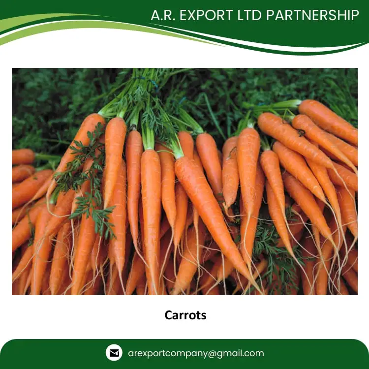 Genuine Quality Wholesale Selling Common Cultivation Type 100% Natural & Fresh Red Carrots at Low Market Price