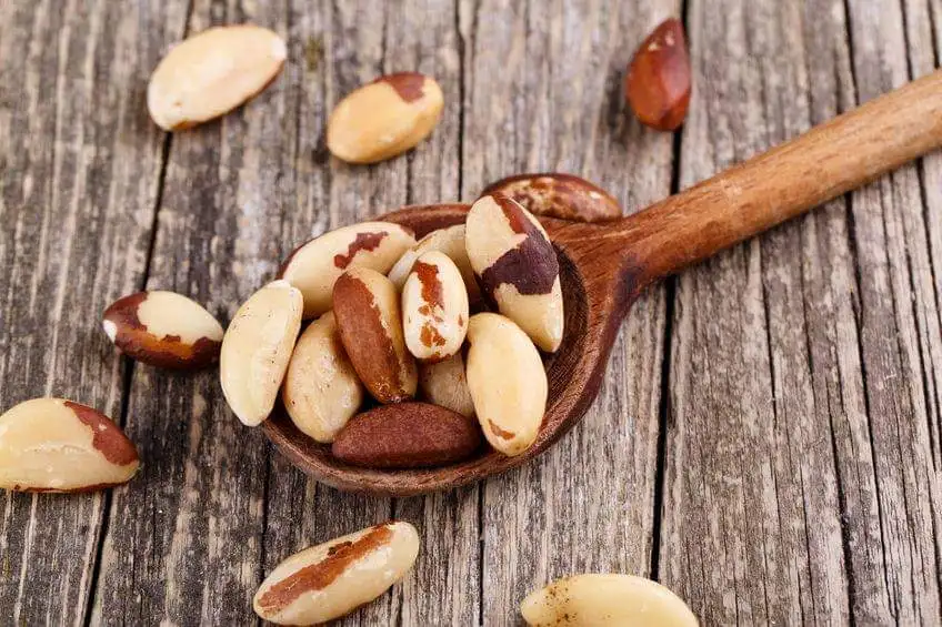 Wholesale Premium Organic Toasted Brazil Nuts With Shell for Snacks