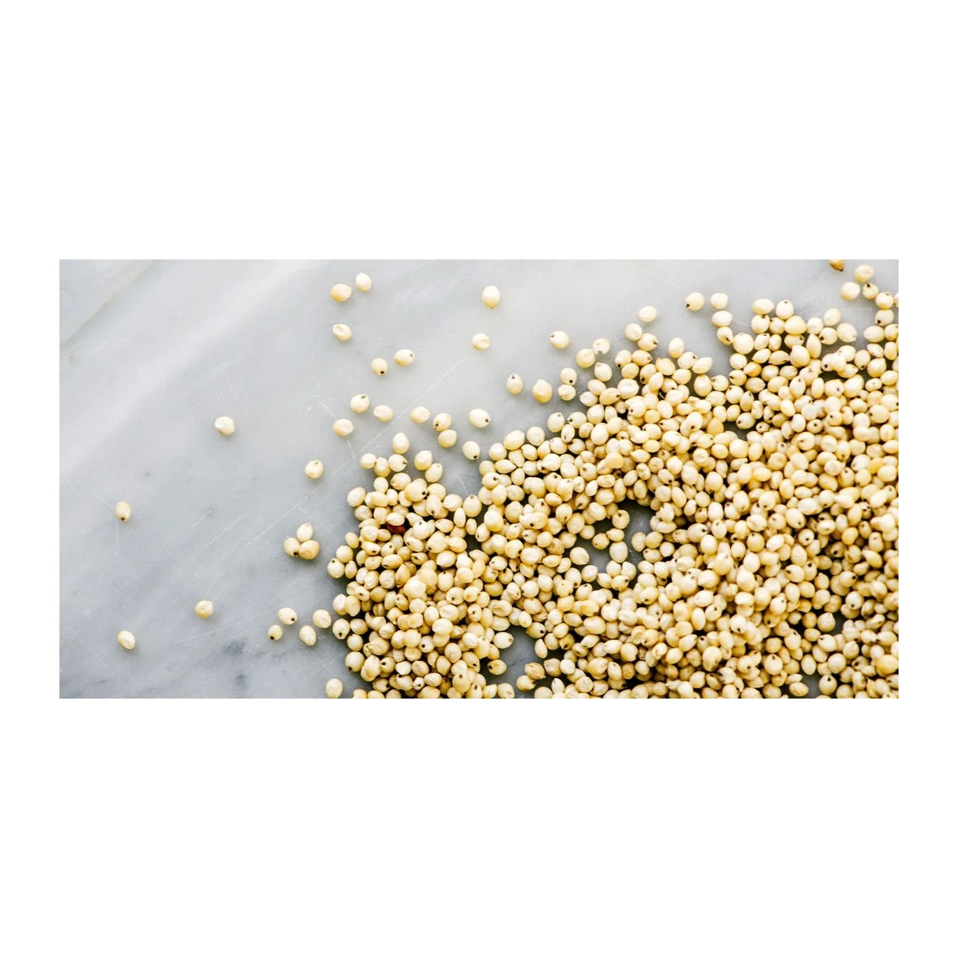 High-quality sorghum grains perfect for food production, animal feed, and industrial use