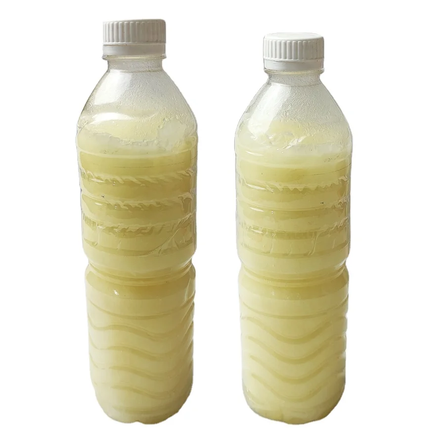 Good Quality RBD Palm Kernel Oil - Indonesian Refined Kernel Oil bulk for butter cooking material