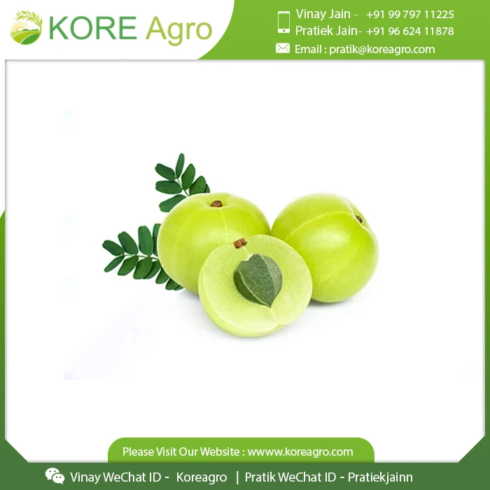 100% Pure Organic Whole Amla Beauty & Care Herbal Product Buy from Leading At Affordable Price