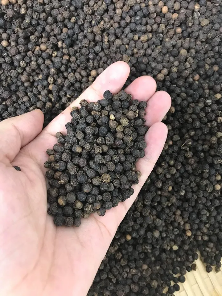 Black Pepper 5mm High Quality and Cheap Price for sale