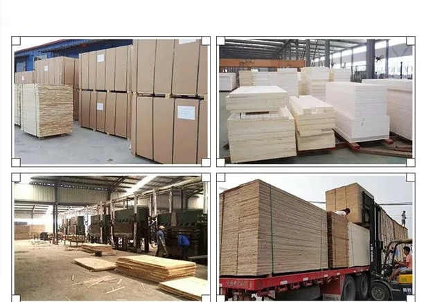 High quality Custom Made Wholesale Oak Lumber sell paulownia lumber board paulownia wood price