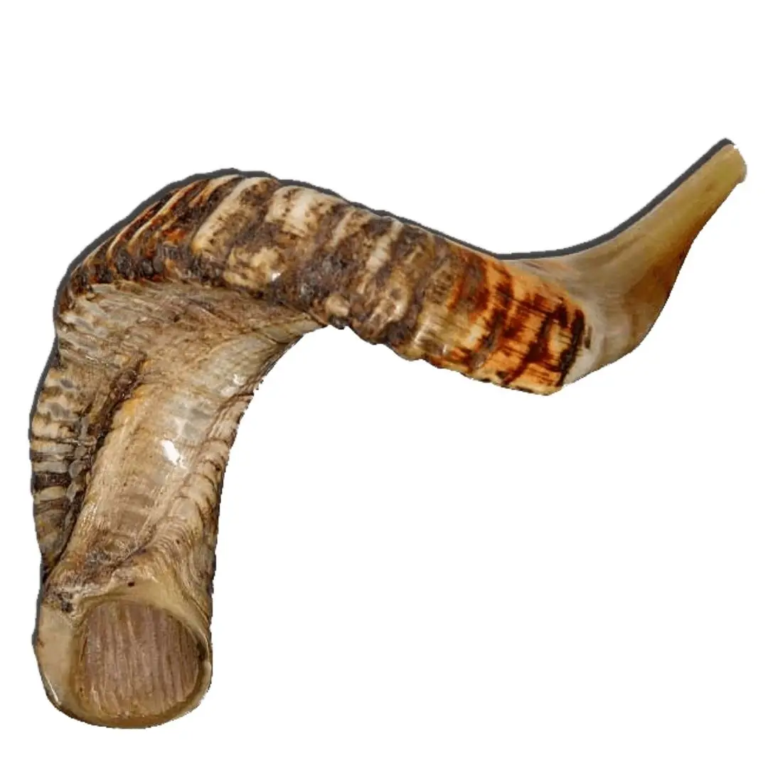 Hot Selling Large Size Natural Sheep Horn from India Best Price Dog Chew with Bag Packed Free Sample on Sale