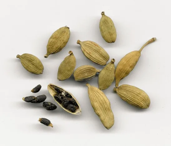 Green dried Cardamom SUPPLIER 100% Pure Good Quality wholesale