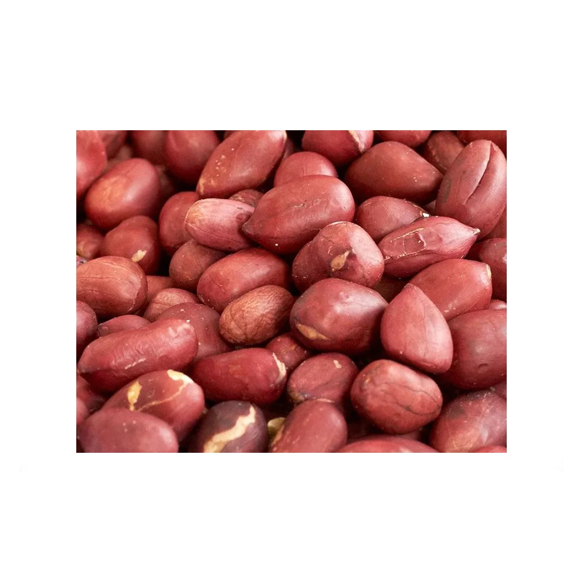High grade non-GMO natural peanut groundnut bulk product from Uzbekistan natural raw peanuts for food