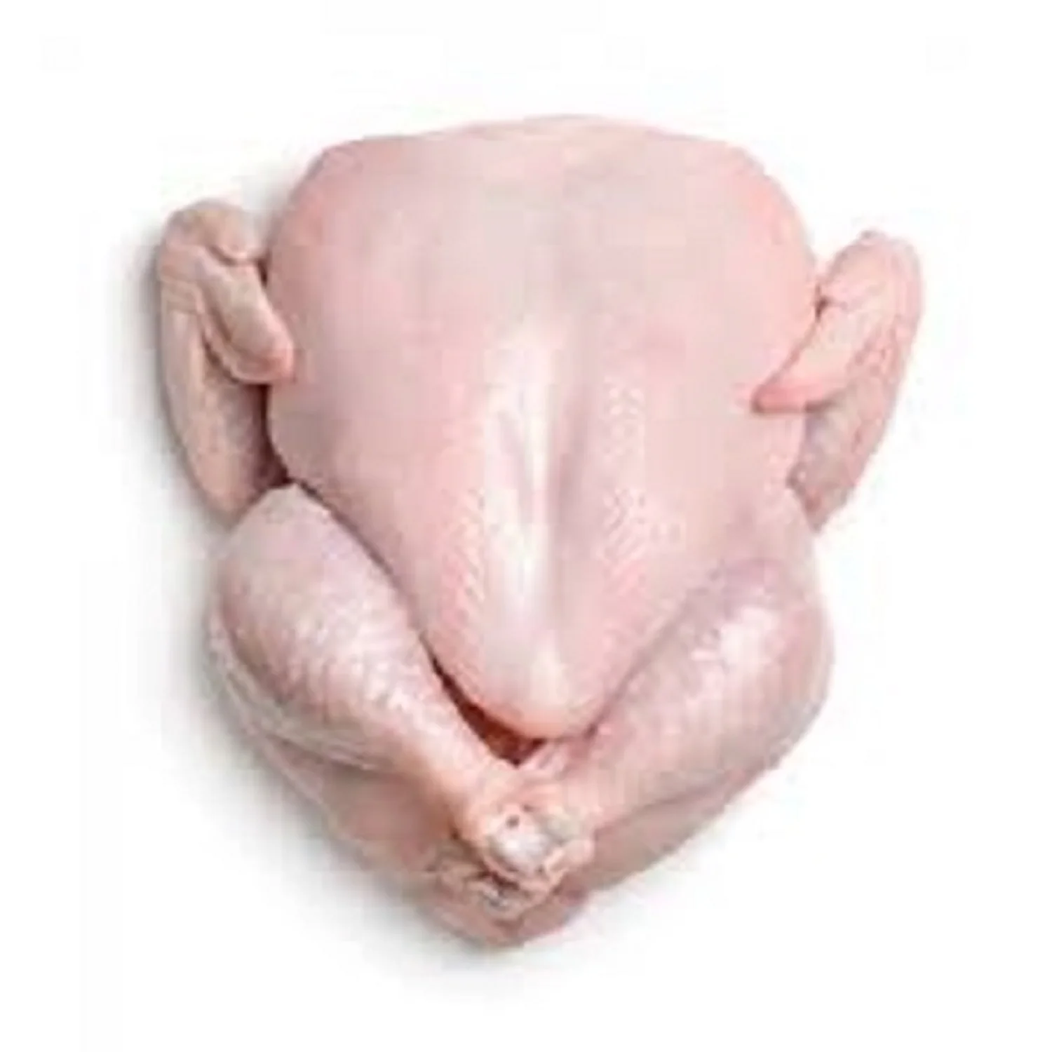 Wholesale halal frozen whole chicken Cheap price